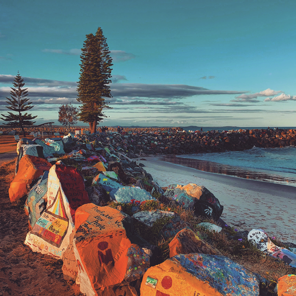 port macquarie, dog beach, dog walking, Australia, Sydney, dog towel, hooded towel, hooded beach towel, dog coat, dog coats, dog coats australia, dog towels, dog towel poncho, dog hoodie, dog hoodies, surf poncho, dogs, dog