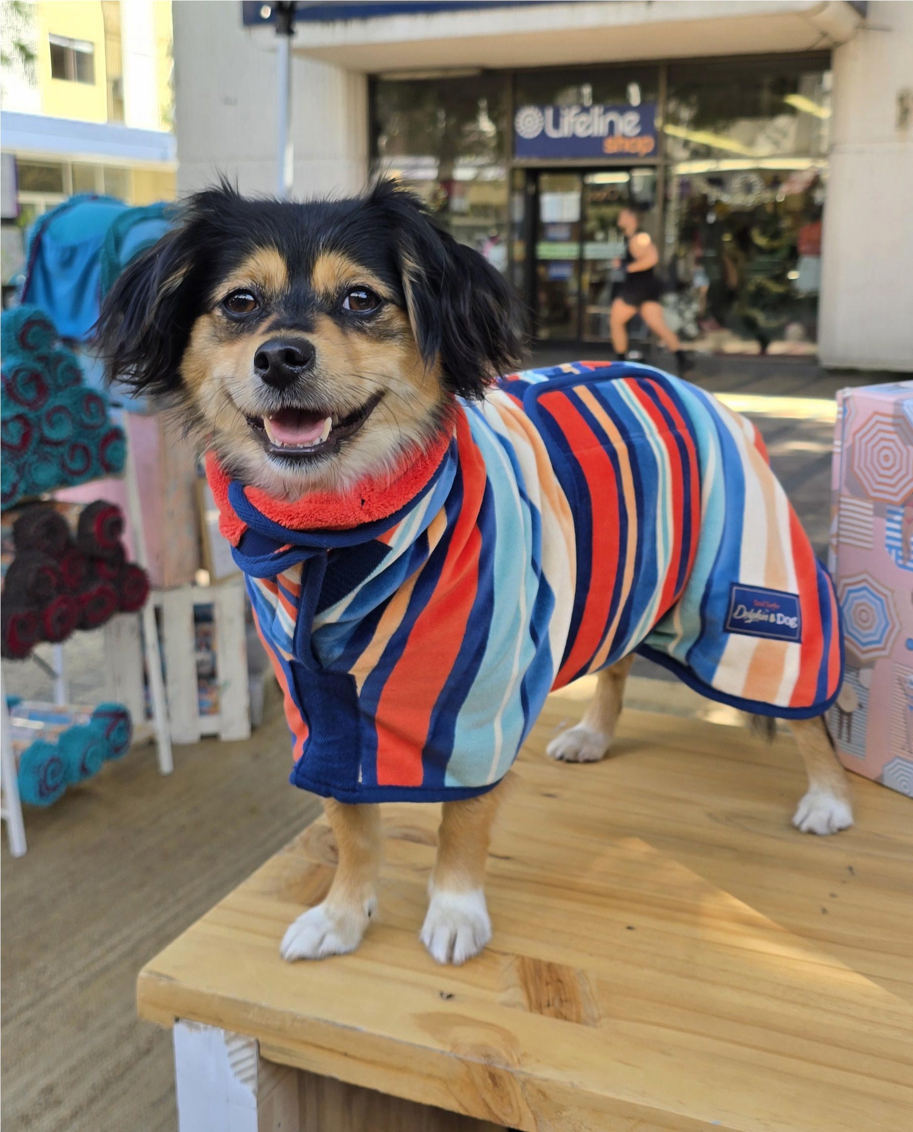 A hooded dog towel, or dog drying robe, the best dog towel., dog towel