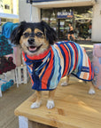 A hooded dog towel, or dog drying robe, the best dog towel., dog towel