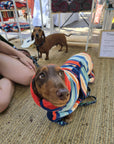 Dachshund with a dog coat, hooded dog towel, dog towel, dog robe