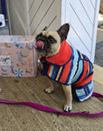 french bull dog , dog coat, hooded dog towel, dog hooded towel, dog towel