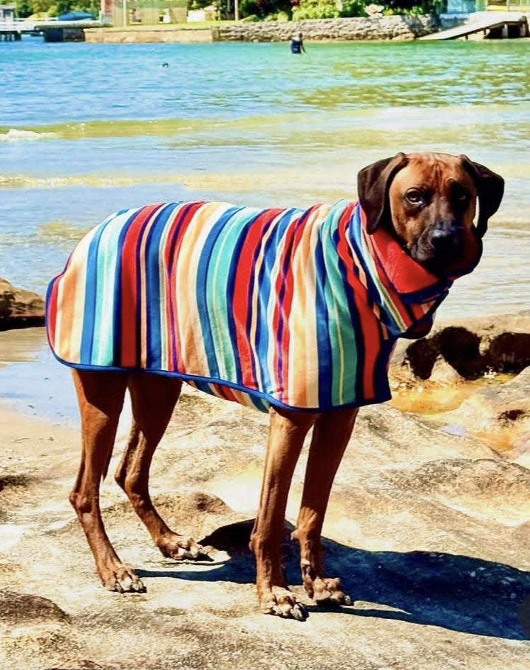 Dog Drying Coat