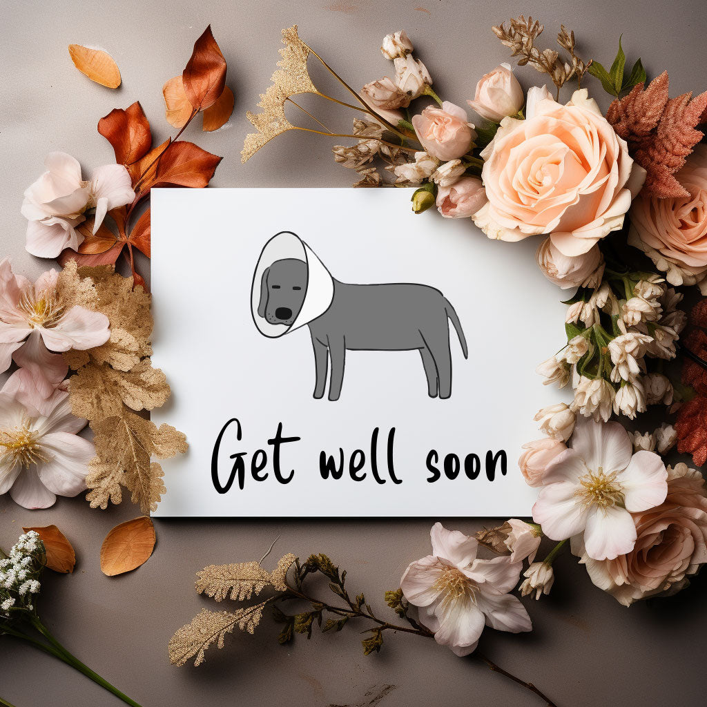 &#39;Get Well Soon&#39; card with a playful design, perfect for sharing love and support with those in recovery.